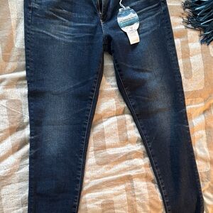 AG Jean Leggings NWT 30R/10 Gorgeous Indigo Bay skinny ankle
